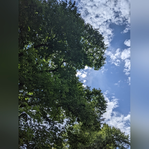 Welcome To My Artisan Closet - Picture 11 of 16